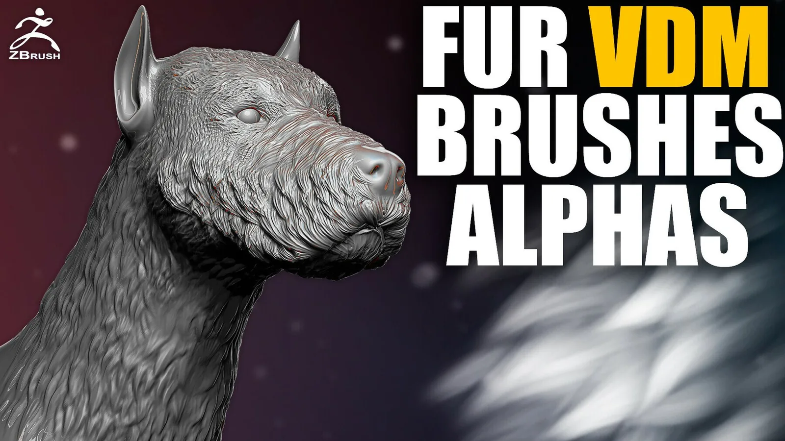 Fur and Hair preview